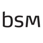 BSM favicon hvid