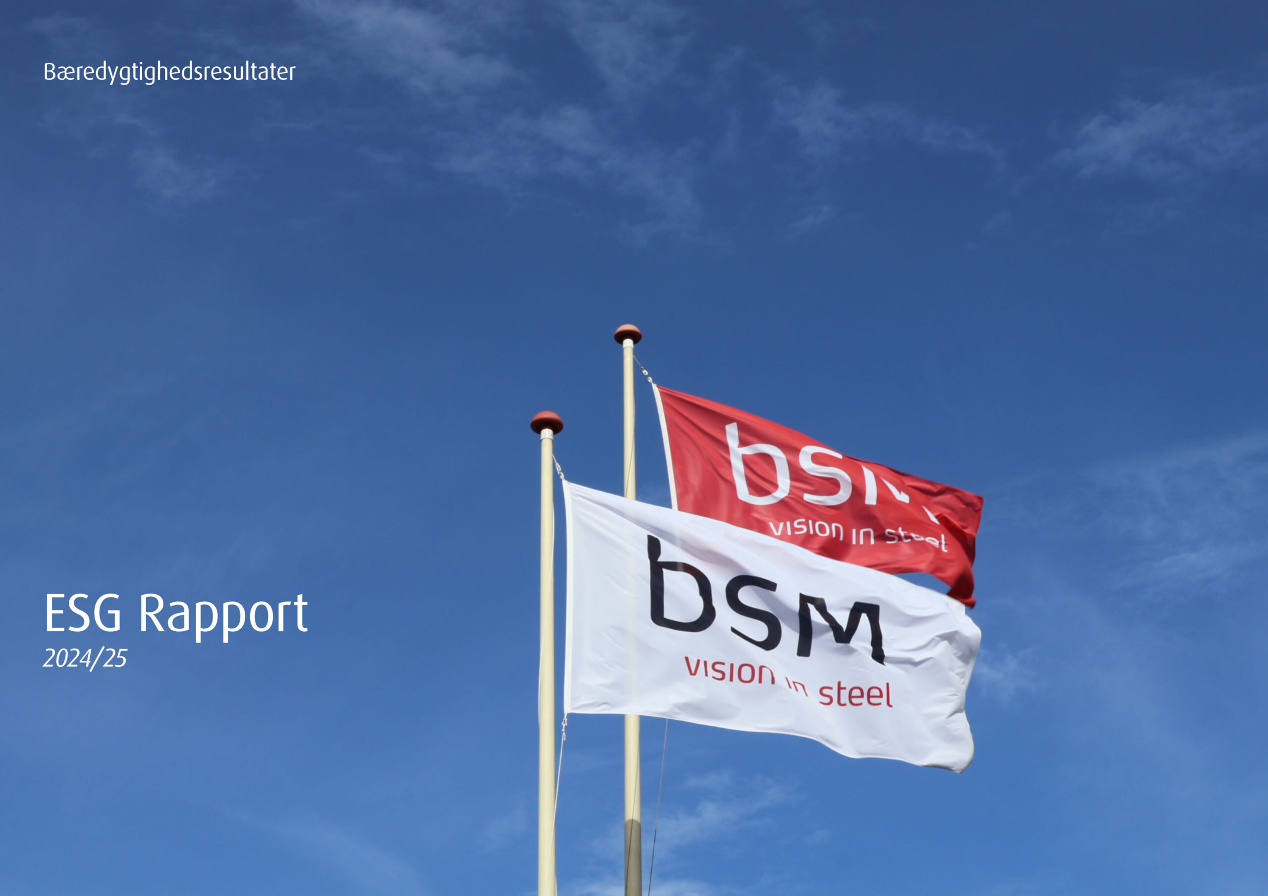 BSM ESG rapport 2025